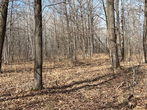 000 Lost Fawn, Hinckley, MN 55037