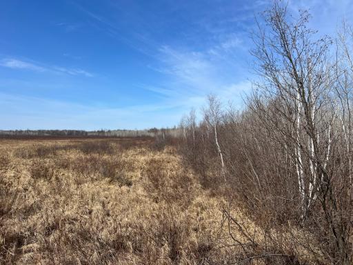 000 Lost Fawn, Hinckley, MN 55037