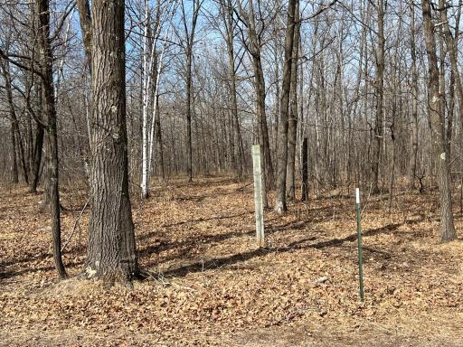 000 Lost Fawn, Hinckley, MN 55037