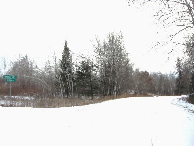 View from corner looking south on Tamarack Ranch Rd. with lot on the left.
