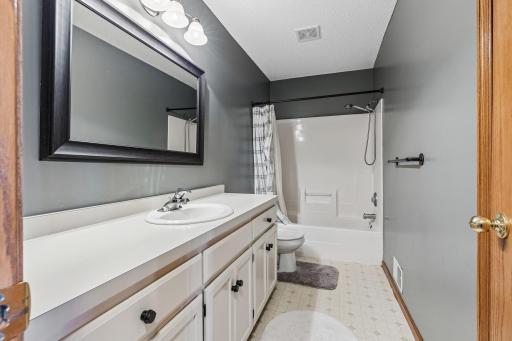 1009 Willow Trail, Farmington, MN 55024