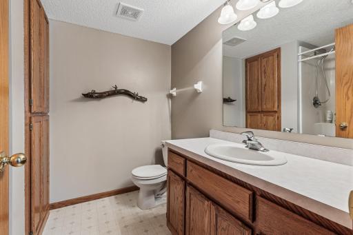 1009 Willow Trail, Farmington, MN 55024