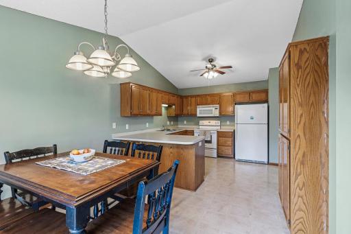 1009 Willow Trail, Farmington, MN 55024