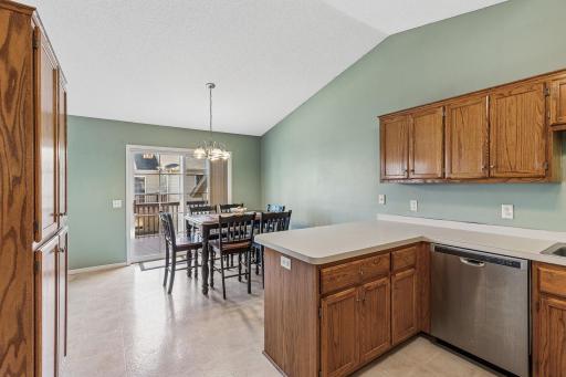 1009 Willow Trail, Farmington, MN 55024