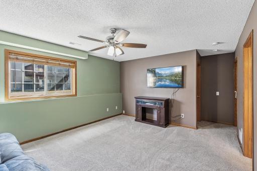 1009 Willow Trail, Farmington, MN 55024