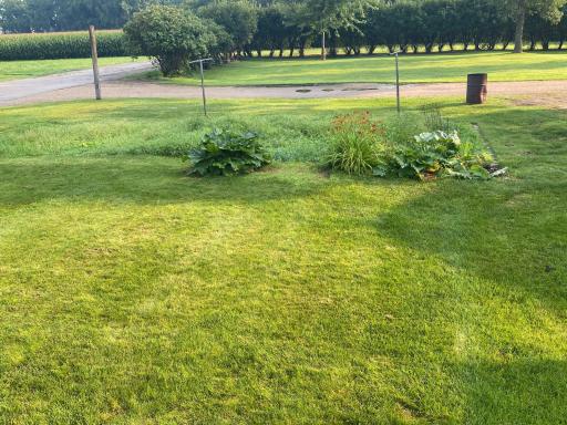 407 Atlantic Avenue, De Graff, MN 56271