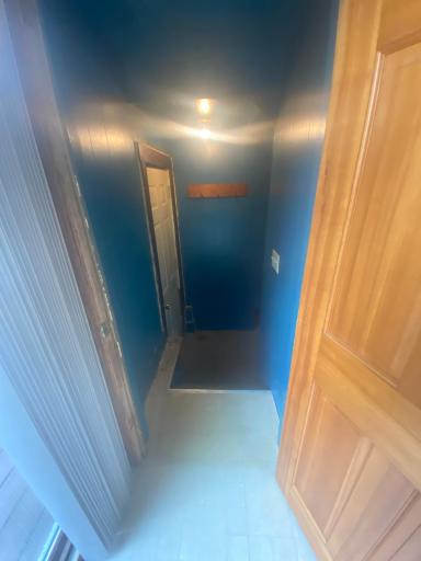 View from the kitchen leading out top the garages or down the basement