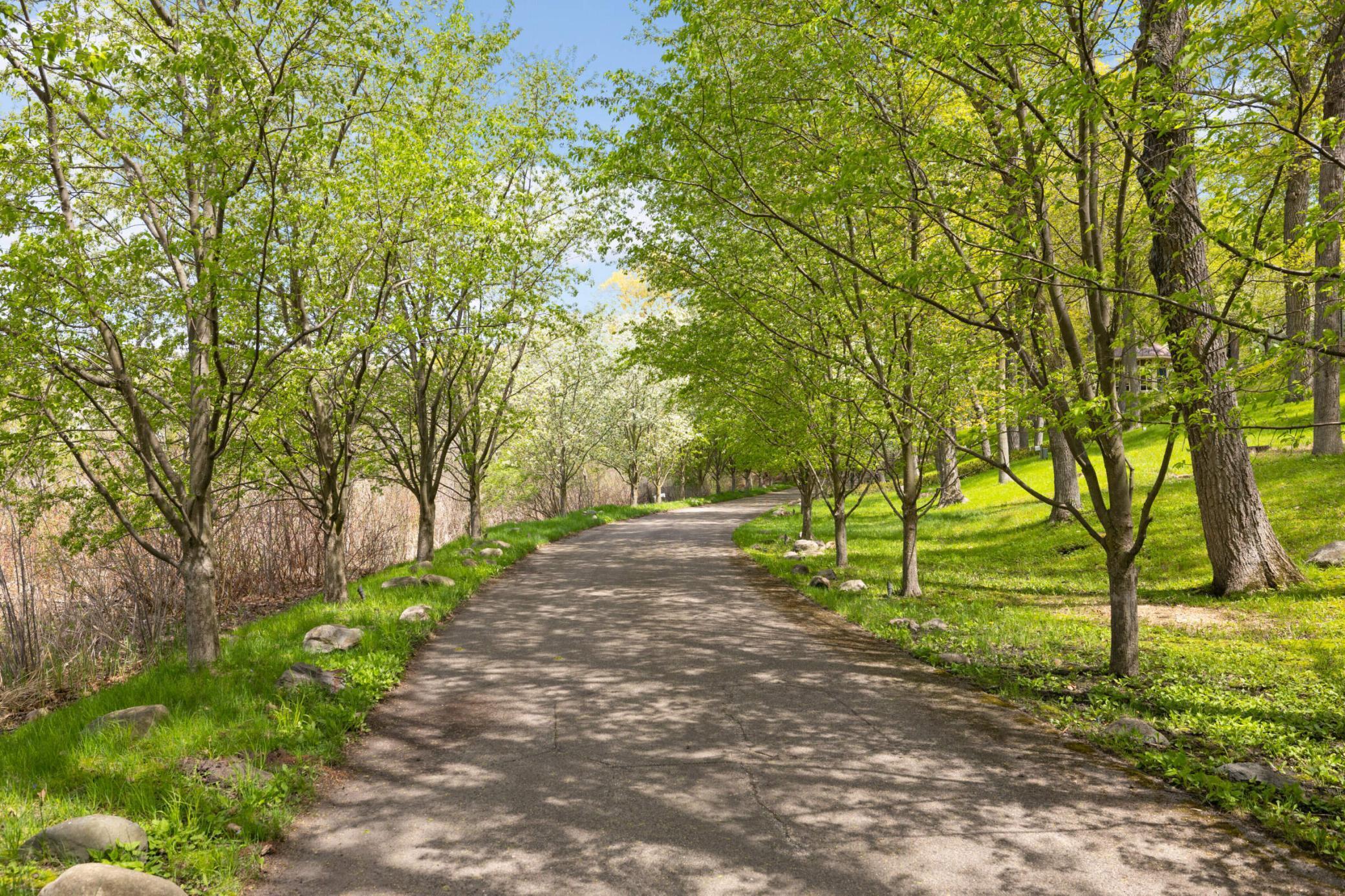 Stunning tree lined driveway