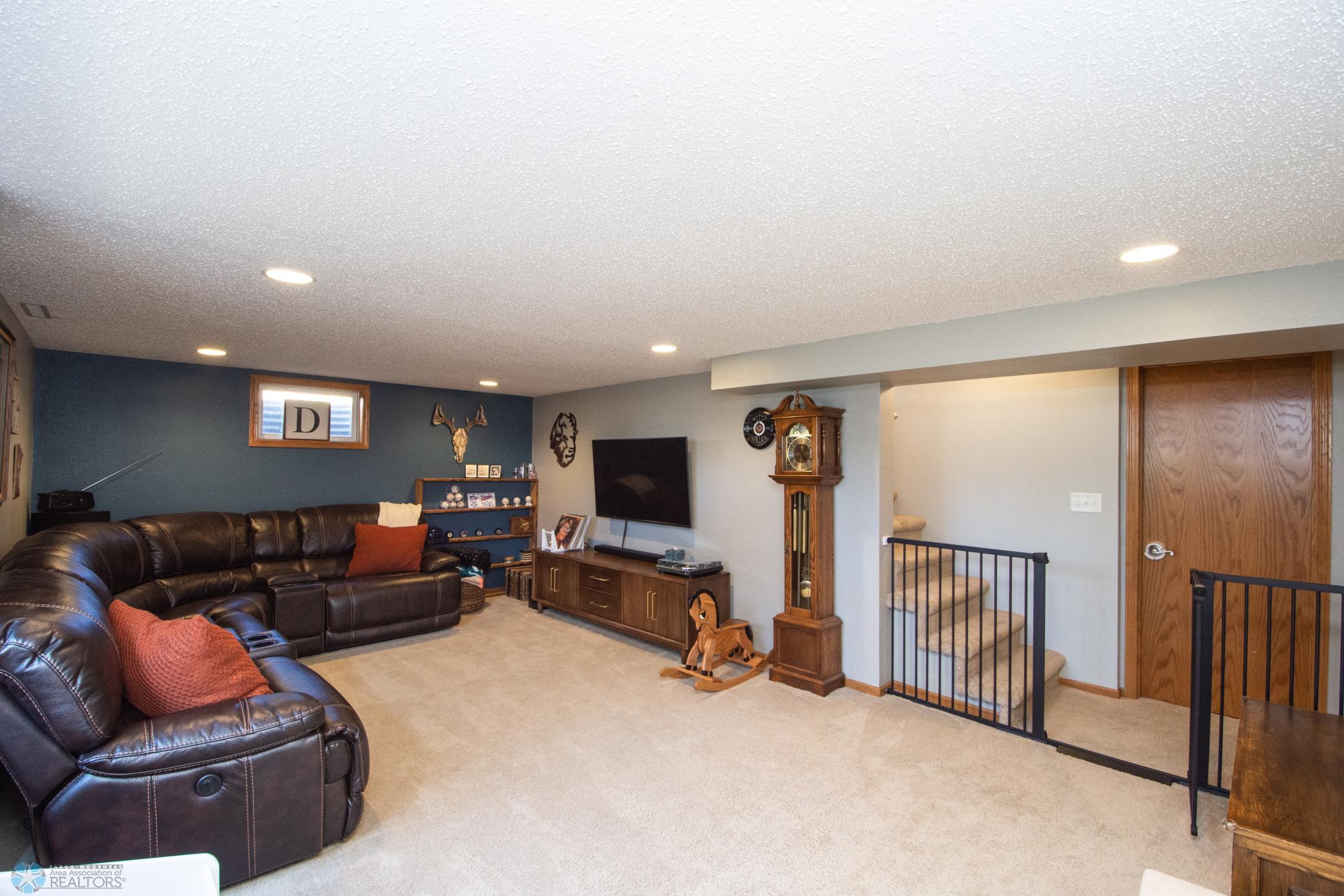 Lower Level Living Space