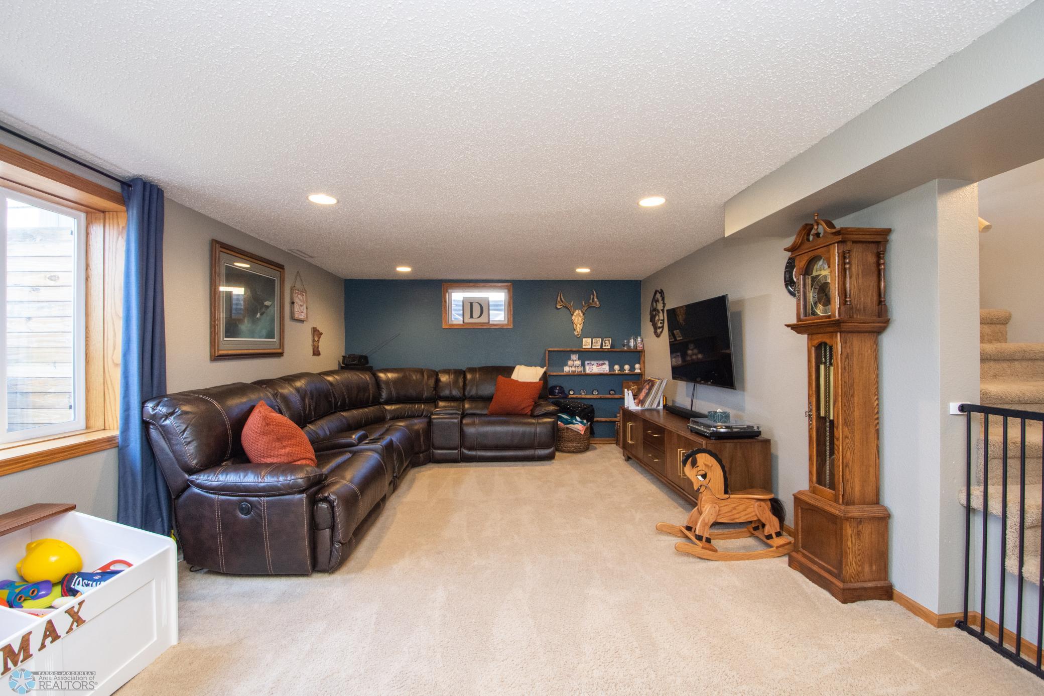 Lower Level Living Space