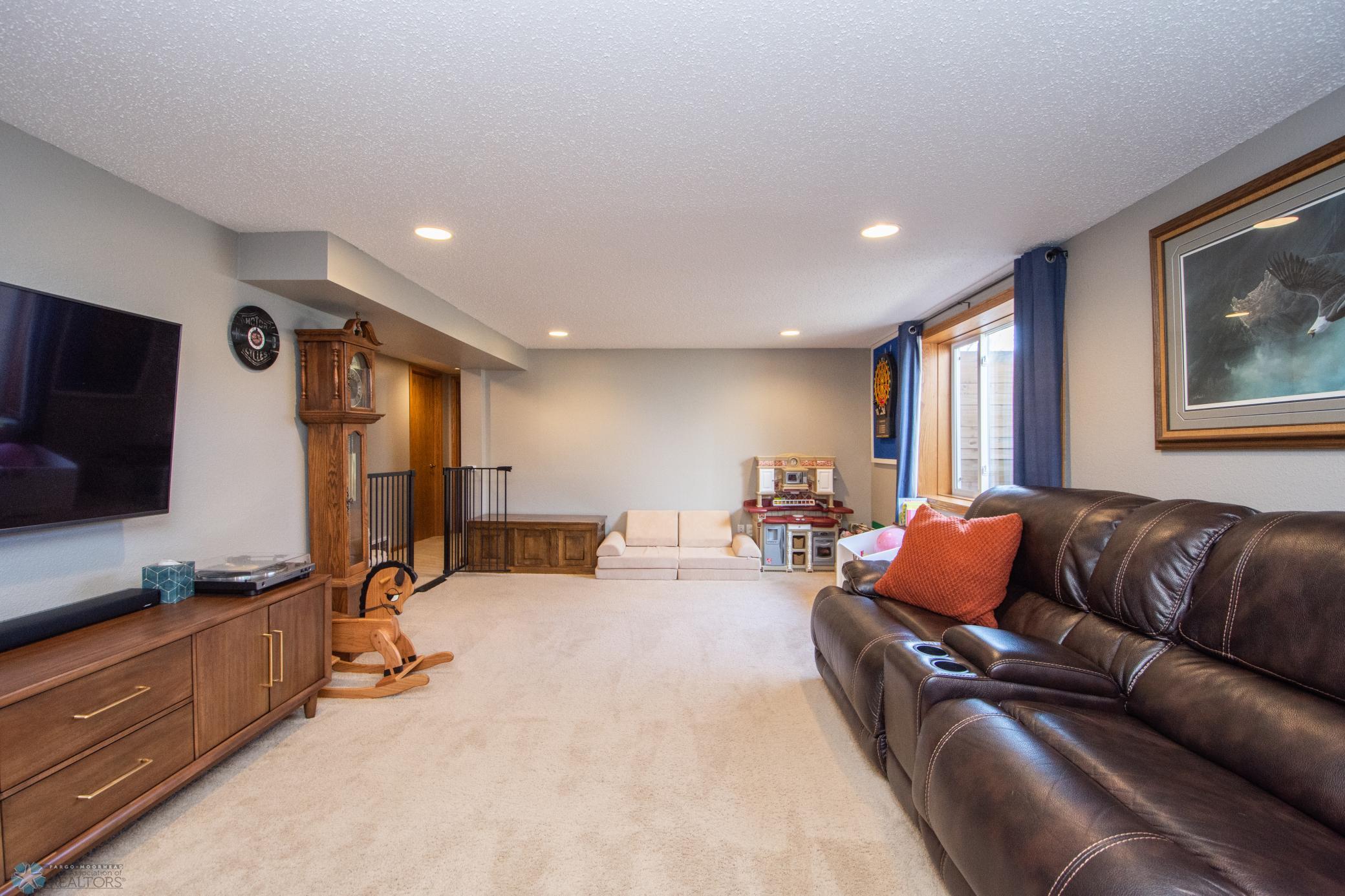 Lower Level Living Space