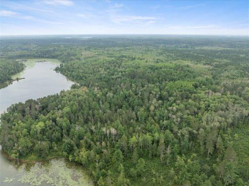 TBD 290th Street, Park Rapids, MN 56470