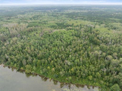 TBD 290th Street, Park Rapids, MN 56470