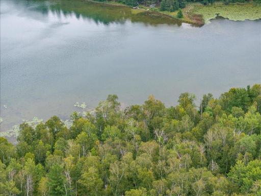 TBD 290th Street, Park Rapids, MN 56470