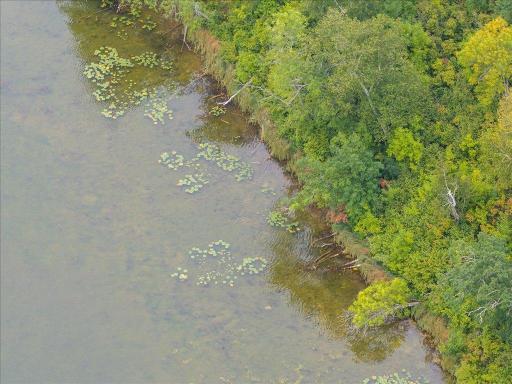 TBD 290th Street, Park Rapids, MN 56470