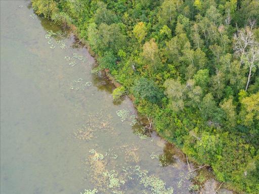 TBD 290th Street, Park Rapids, MN 56470