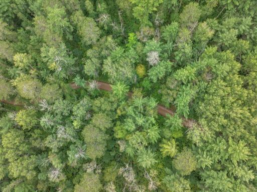 TBD 290th Street, Park Rapids, MN 56470