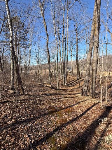 TBD Big Stone Pass, Cushing, MN 56475