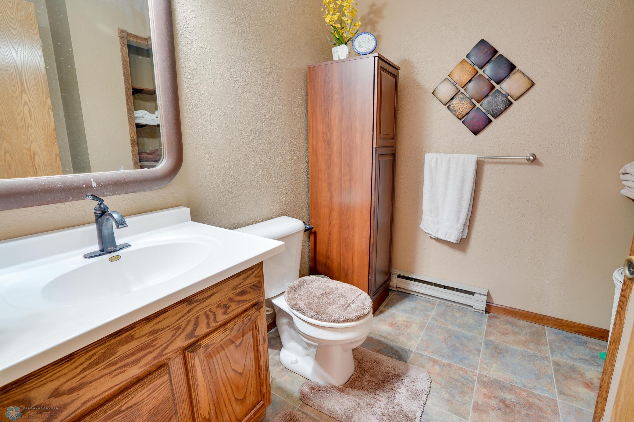 Lower level Bathroom
