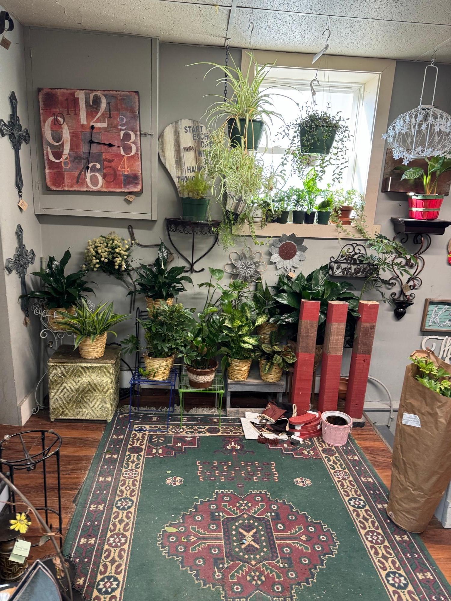 live plants