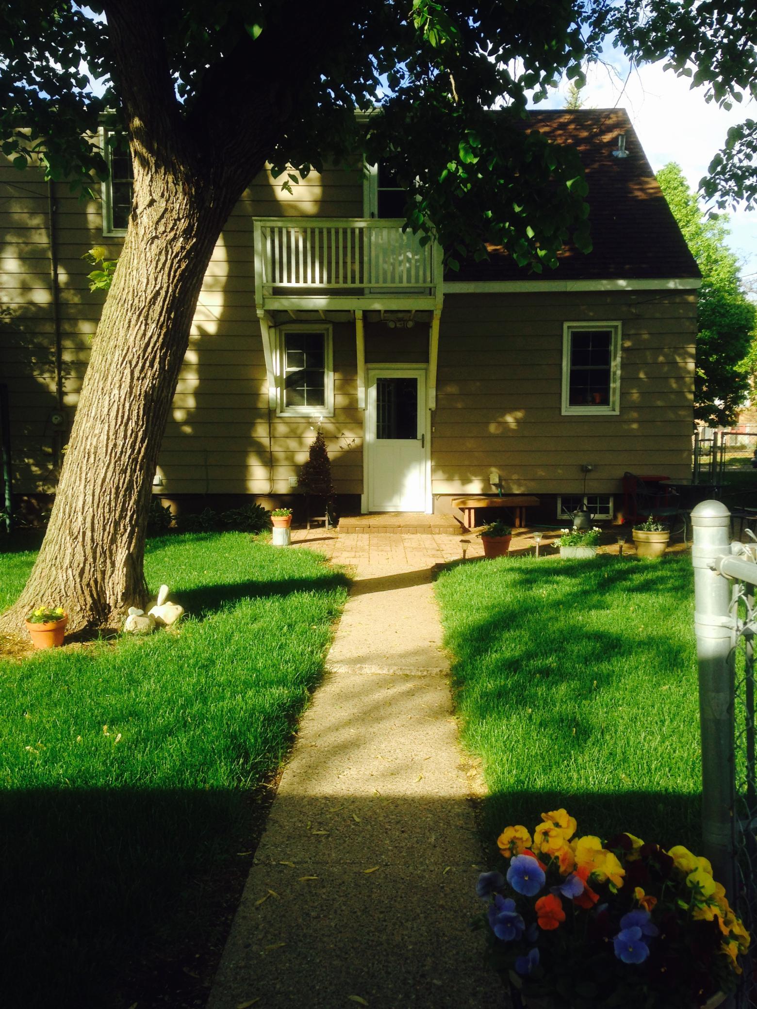 Backyard Summertime