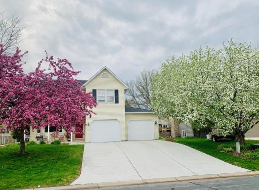 Spring view! Check out these gorgeous apple trees in the spring!