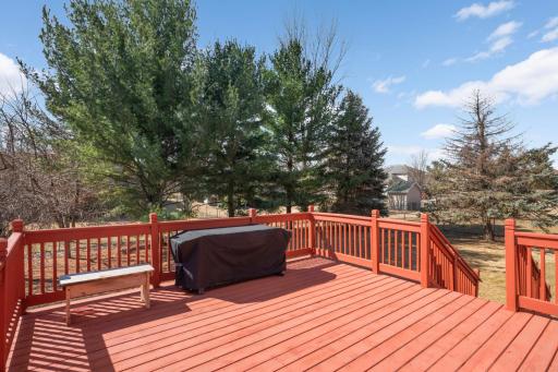 6930 137th Lane NW, Ramsey, MN 55303