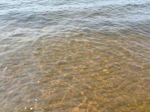 Great rocky lake bottom up by shore and sand towards the end of the 42 ft. dock