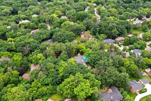 Spectacular wooded views can be seen from this home!