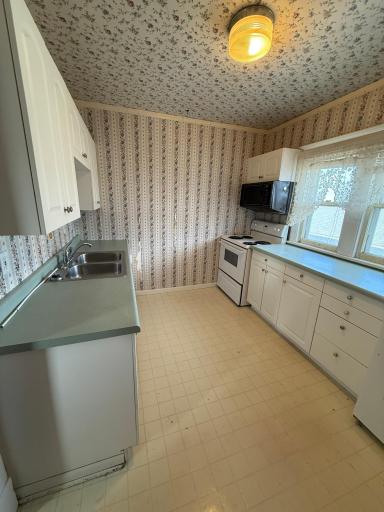 Photo for 620 and 618 Main Avenue N, Thief River Falls, MN 56701 - Listing #6691651 620 and 618 Main Avenue N, Thief River Falls, MN 56701