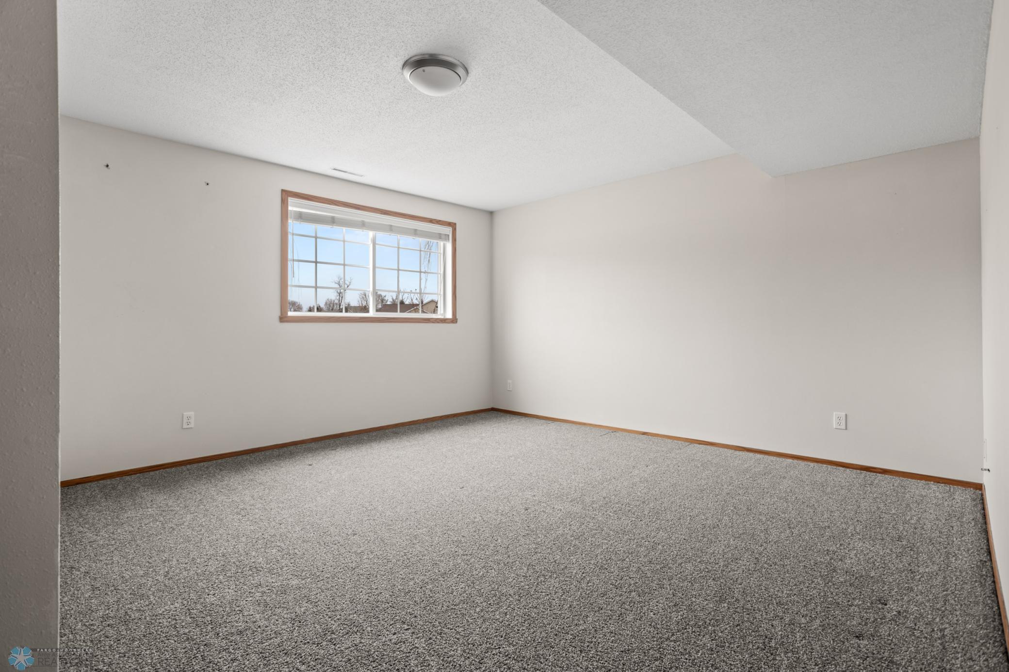 Lower Level Bedroom