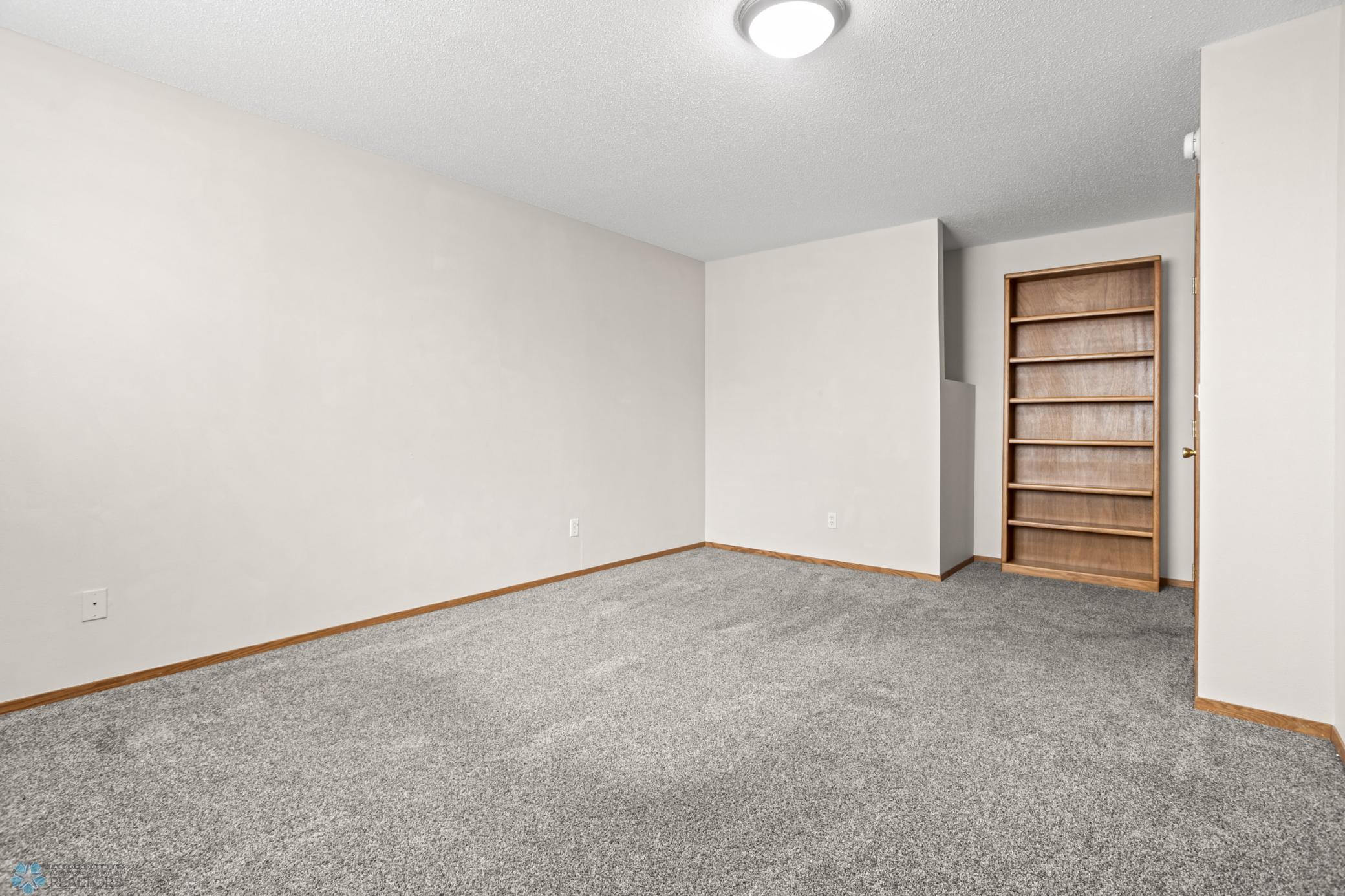 Lower Level Bedroom