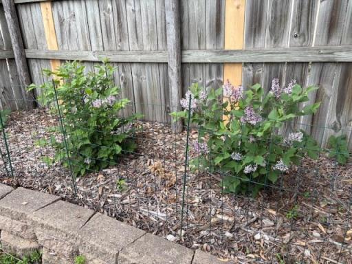 Photo 36