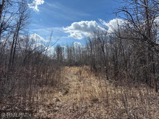 XXXX Hwy 169, Palisade, MN 56469