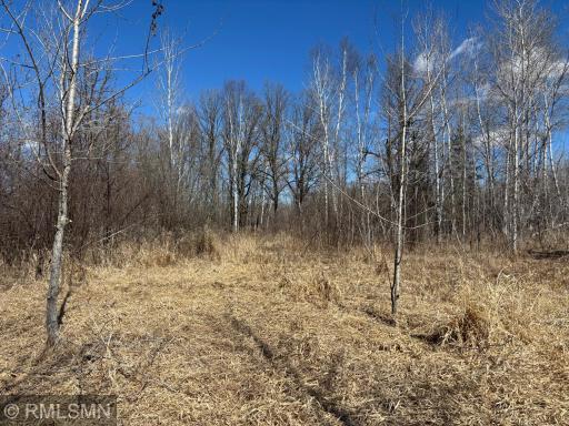 XXXX Hwy 169, Palisade, MN 56469
