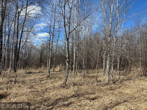 XXXX Hwy 169, Palisade, MN 56469