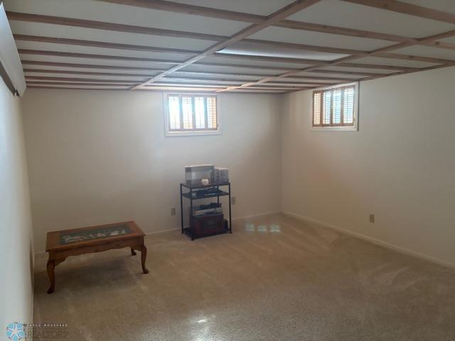 Lower level rec room