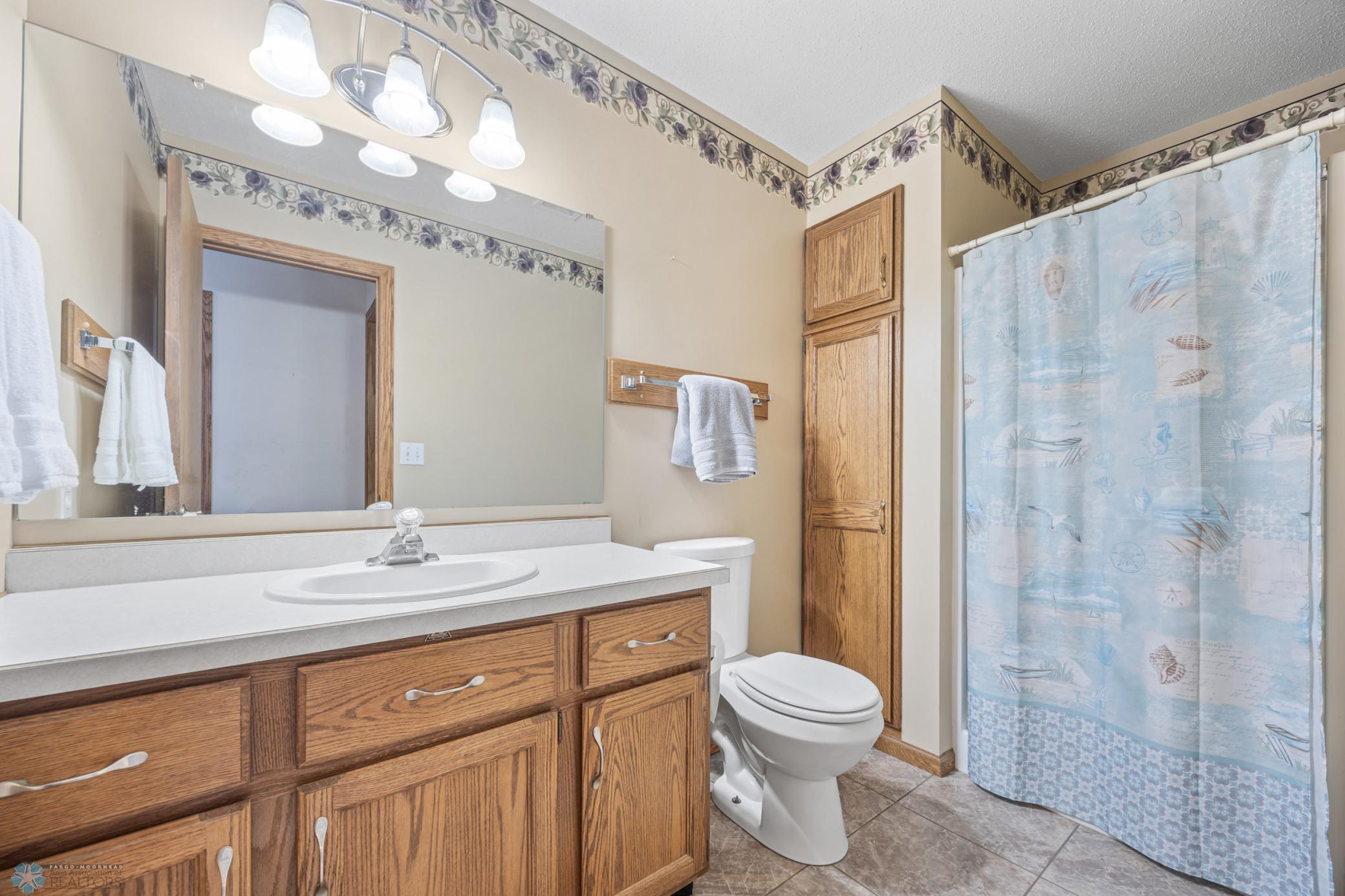 Lower-Level Bathroom