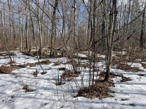 6556 Voyageurs Trail, Biwabik, MN 55708