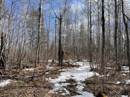 6556 Voyageurs Trail, Biwabik, MN 55708