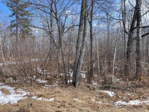 6556 Voyageurs Trail, Biwabik, MN 55708