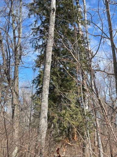 6562 Voyageurs Trail, Biwabik, MN 55708