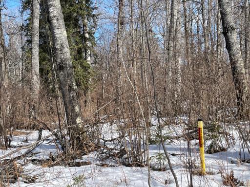 6562 Voyageurs Trail, Biwabik, MN 55708