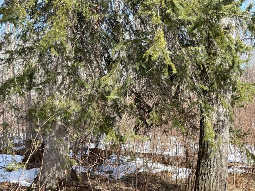 6562 Voyageurs Trail, Biwabik, MN 55708