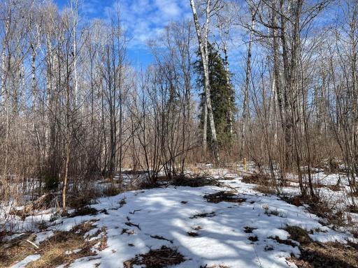 6562 Voyageurs Trail, Biwabik, MN 55708