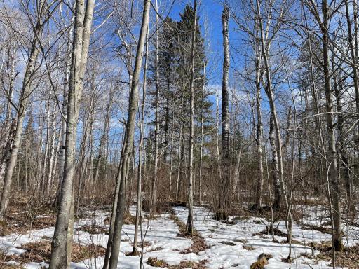 6562 Voyageurs Trail, Biwabik, MN 55708