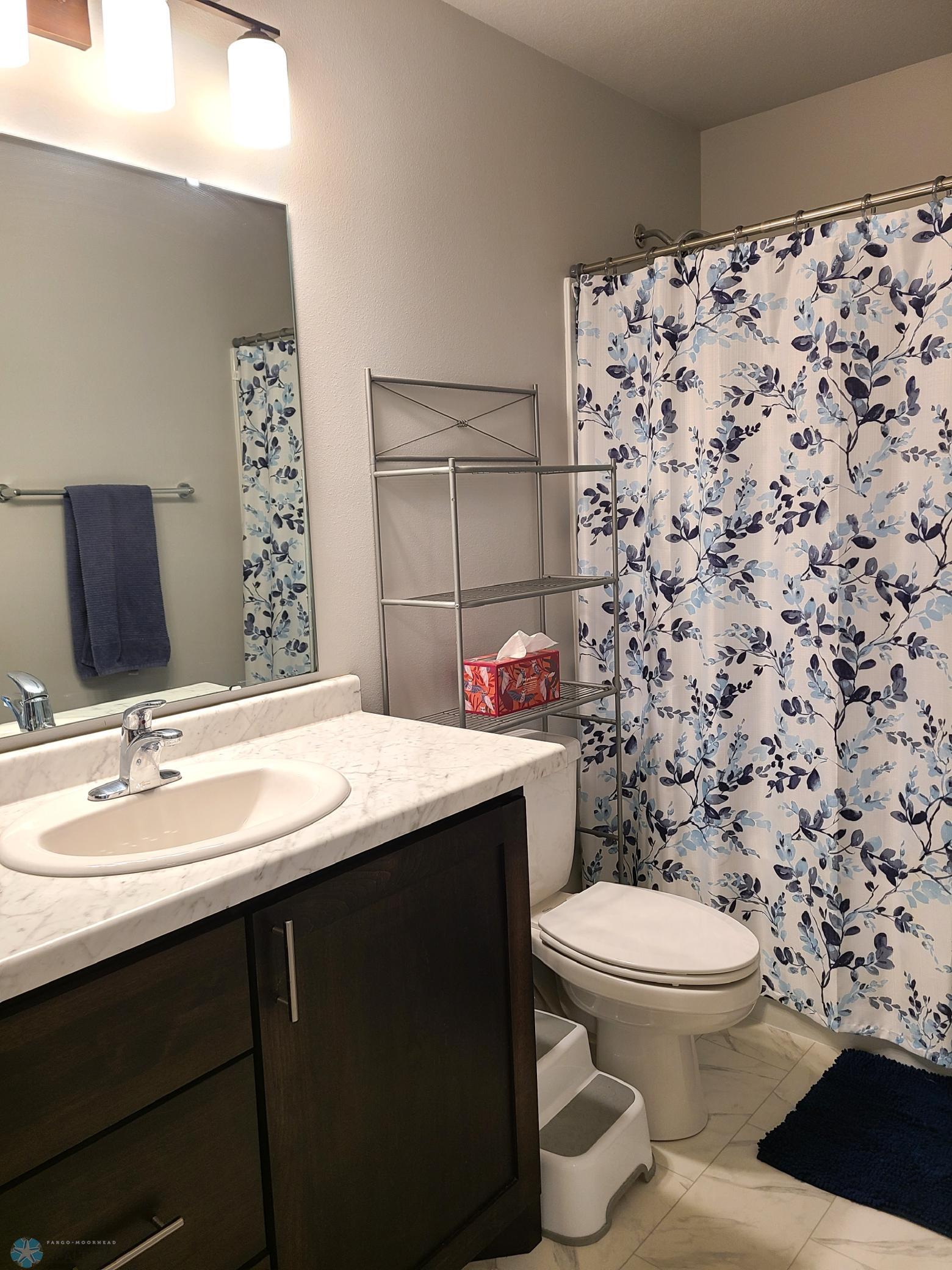 Upper Level Hall Bath