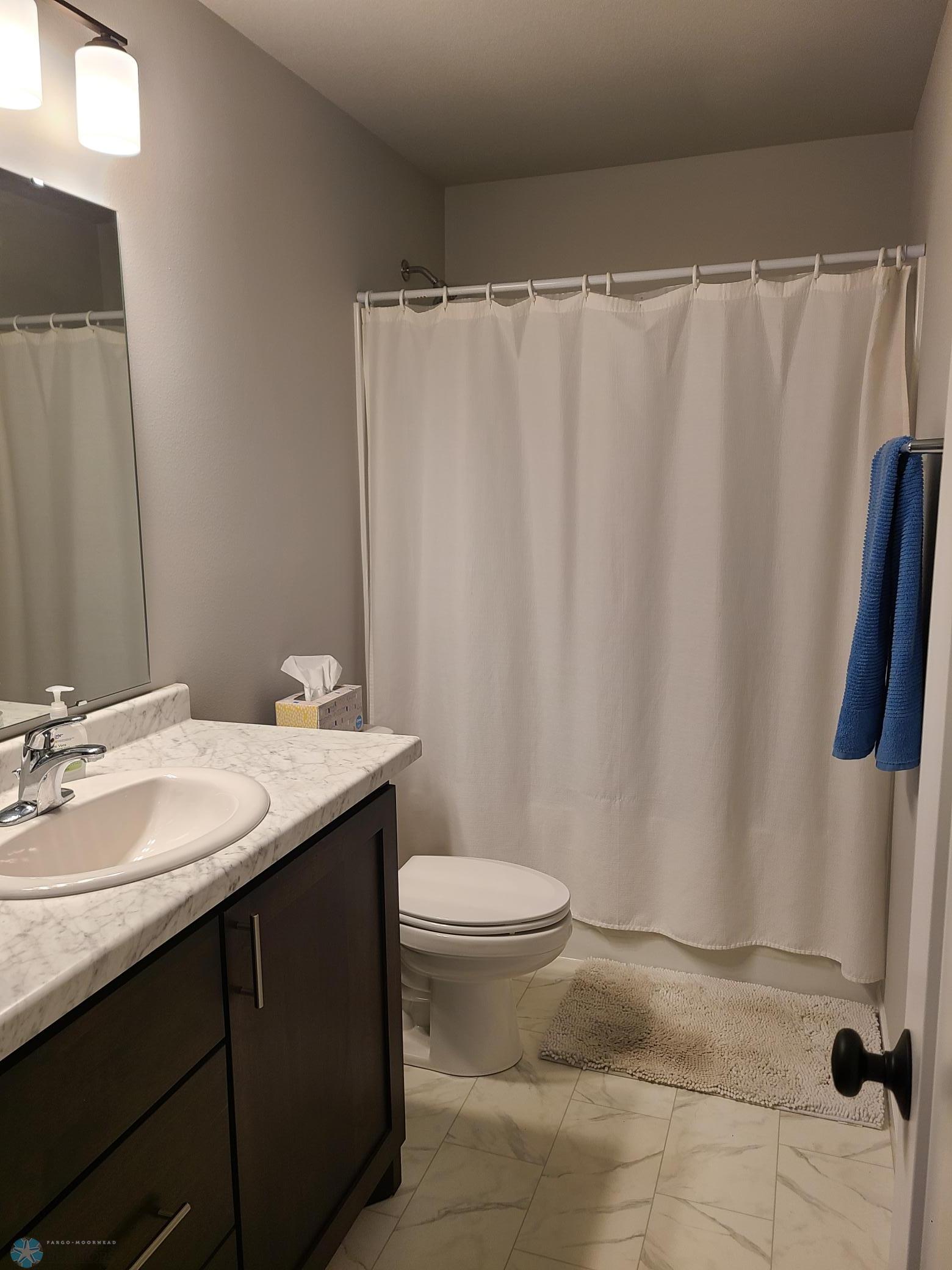Lower Level Bathroom