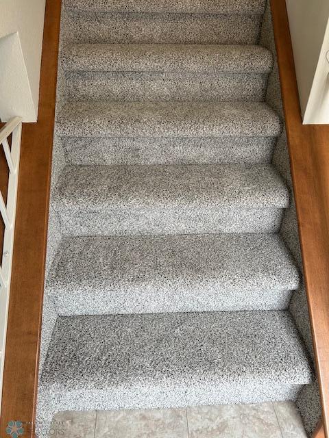 New Carpet