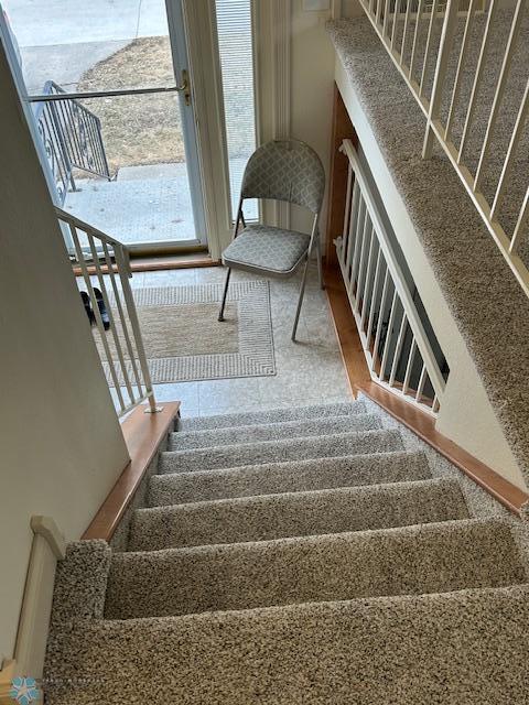 New Carpet